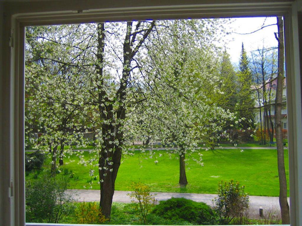 Ferienwohnung Am Ortenaupark Bad Reichenhall Eksteriør bilde